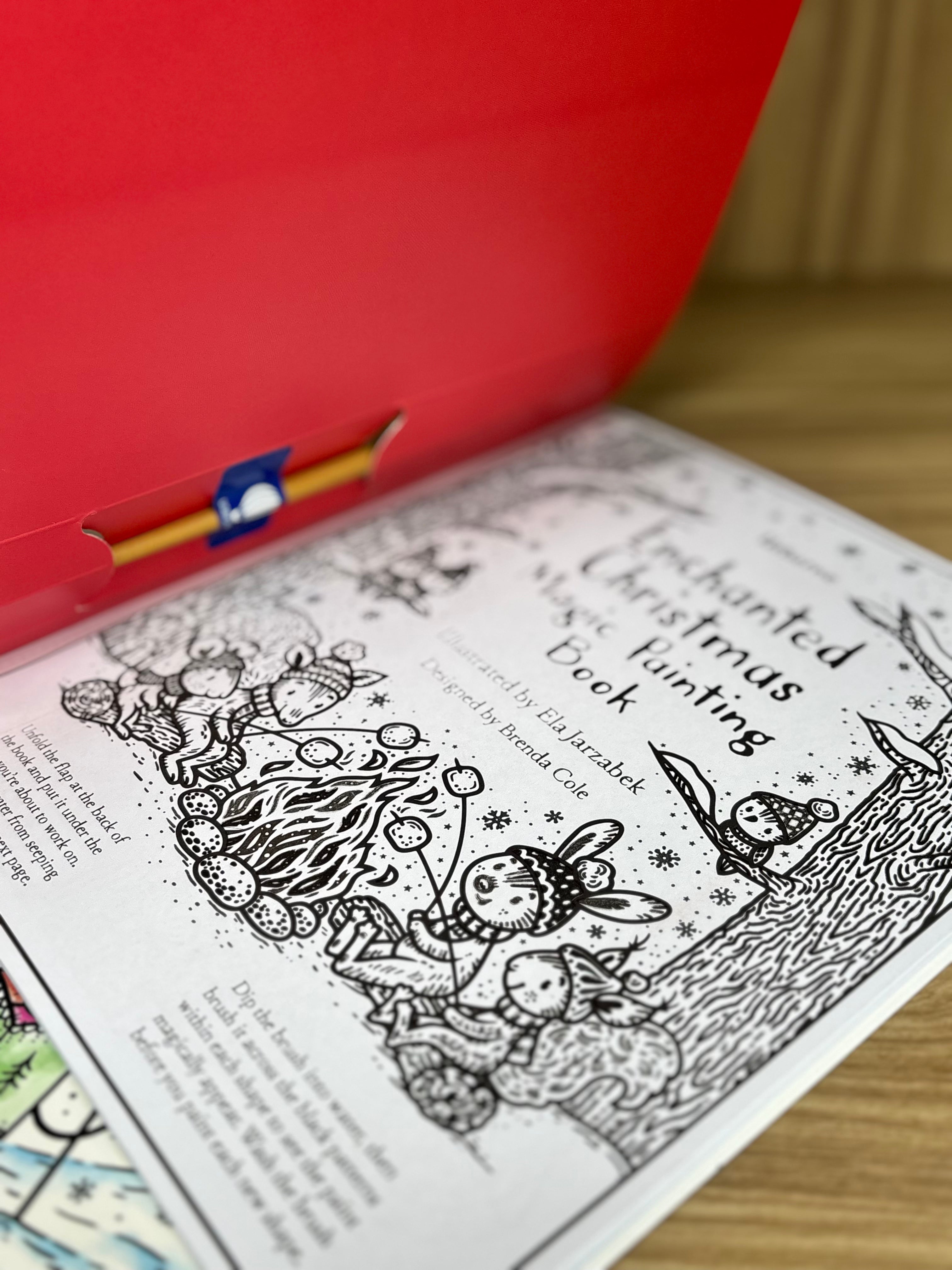 Enchanted Christmas Magic Painting Book